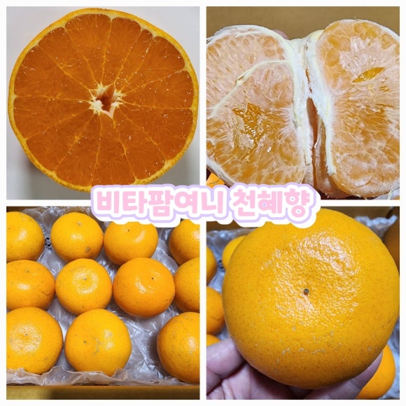 하늘&땅 팜 이미지