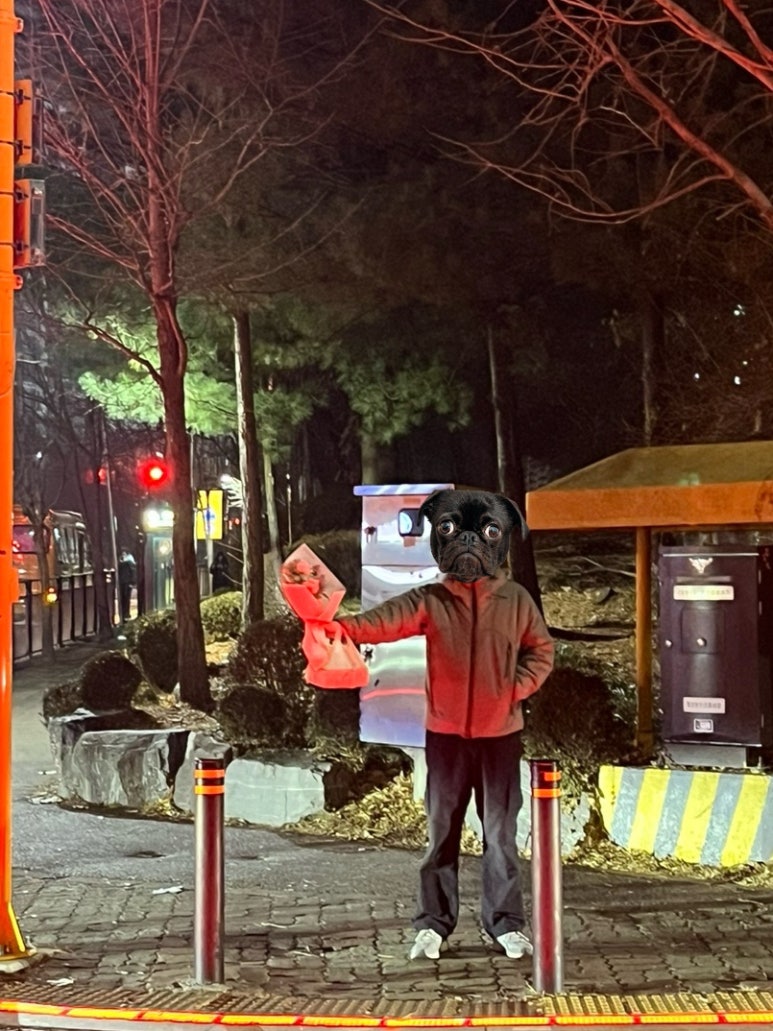 채채슈가 이미지