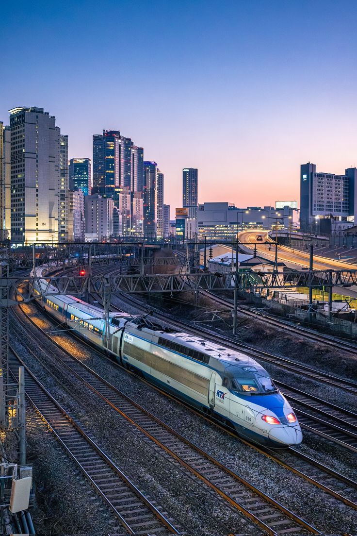 2025년 1월 6일 월요일 미리보는 오늘의 띠 별 운세 네이버 블로그