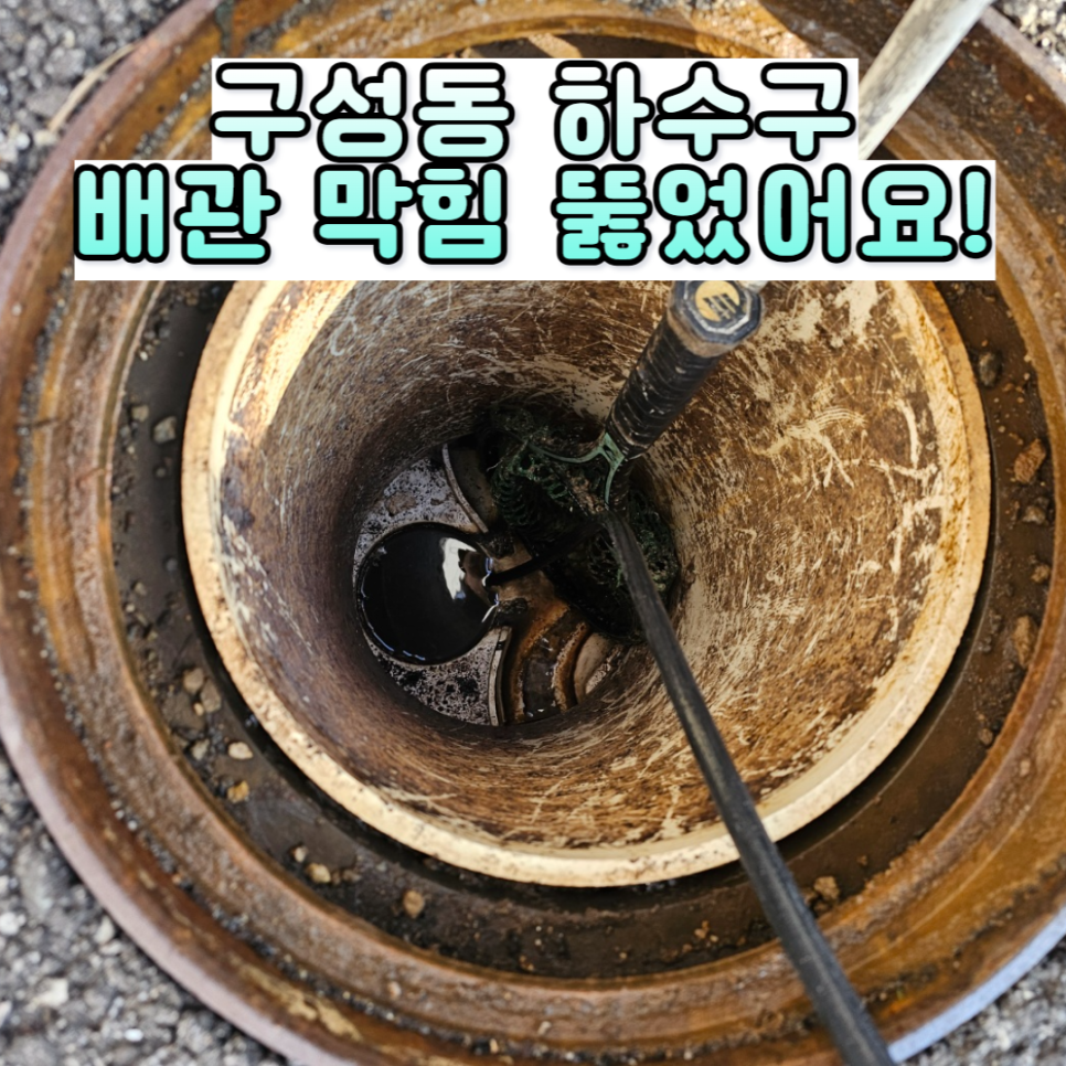 선진앤크린 이미지