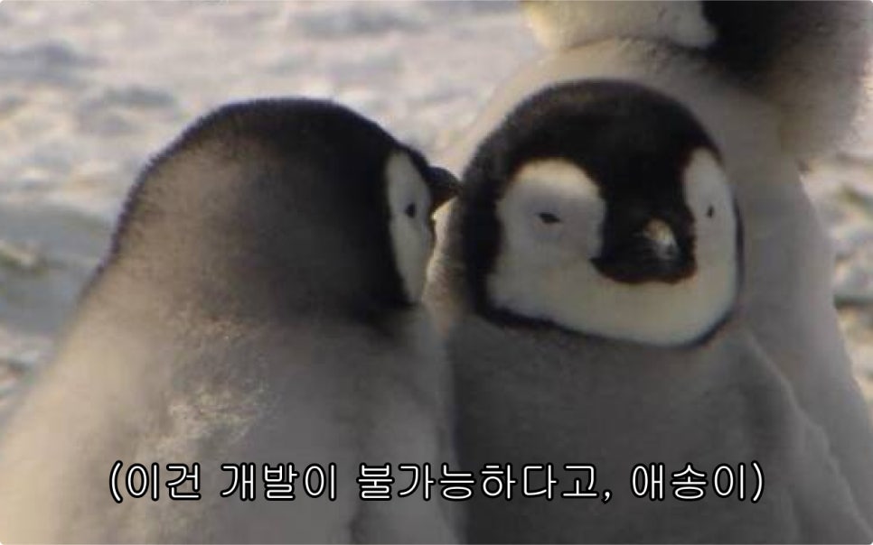 하비데이 이미지