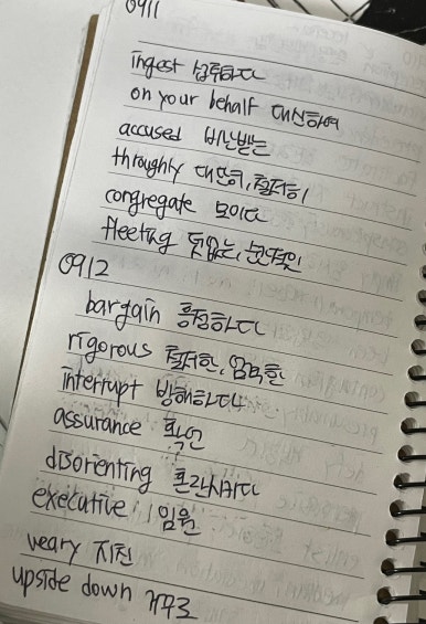 서울인마이백 이미지