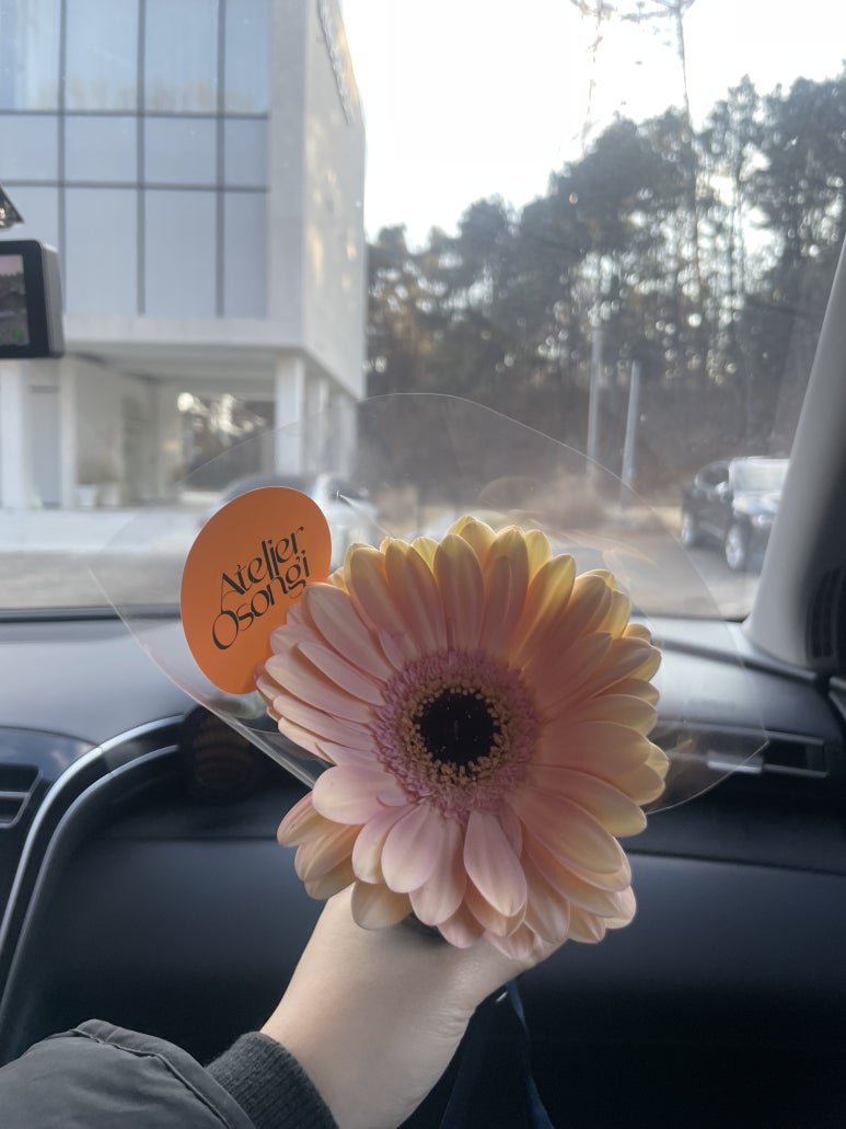 메종드레이나 이미지