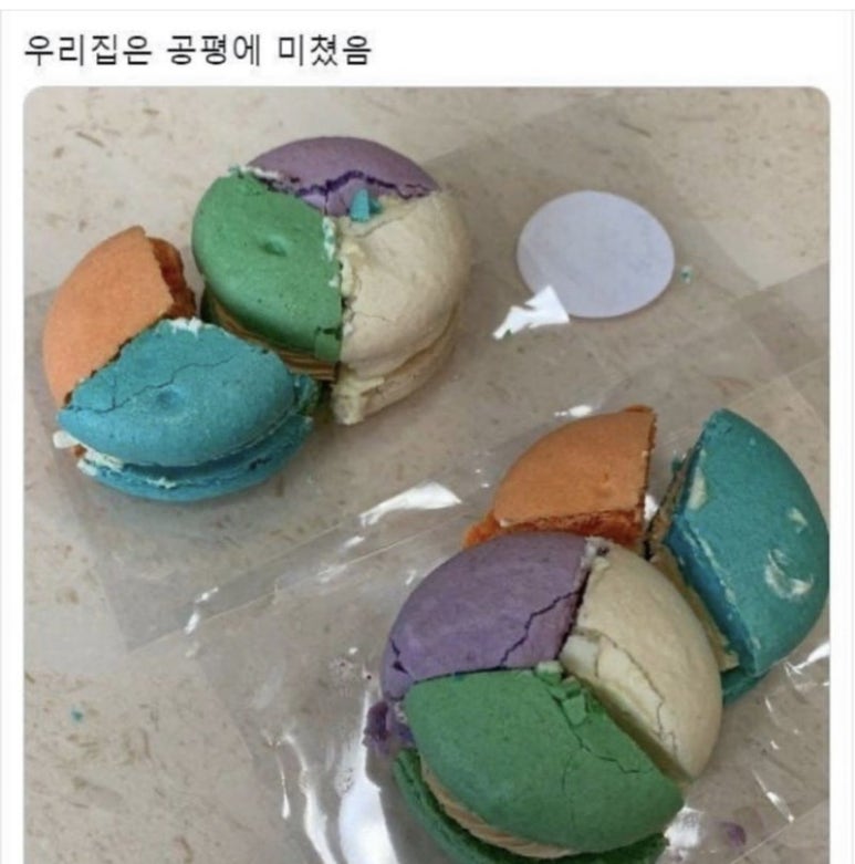 하이하이 이미지