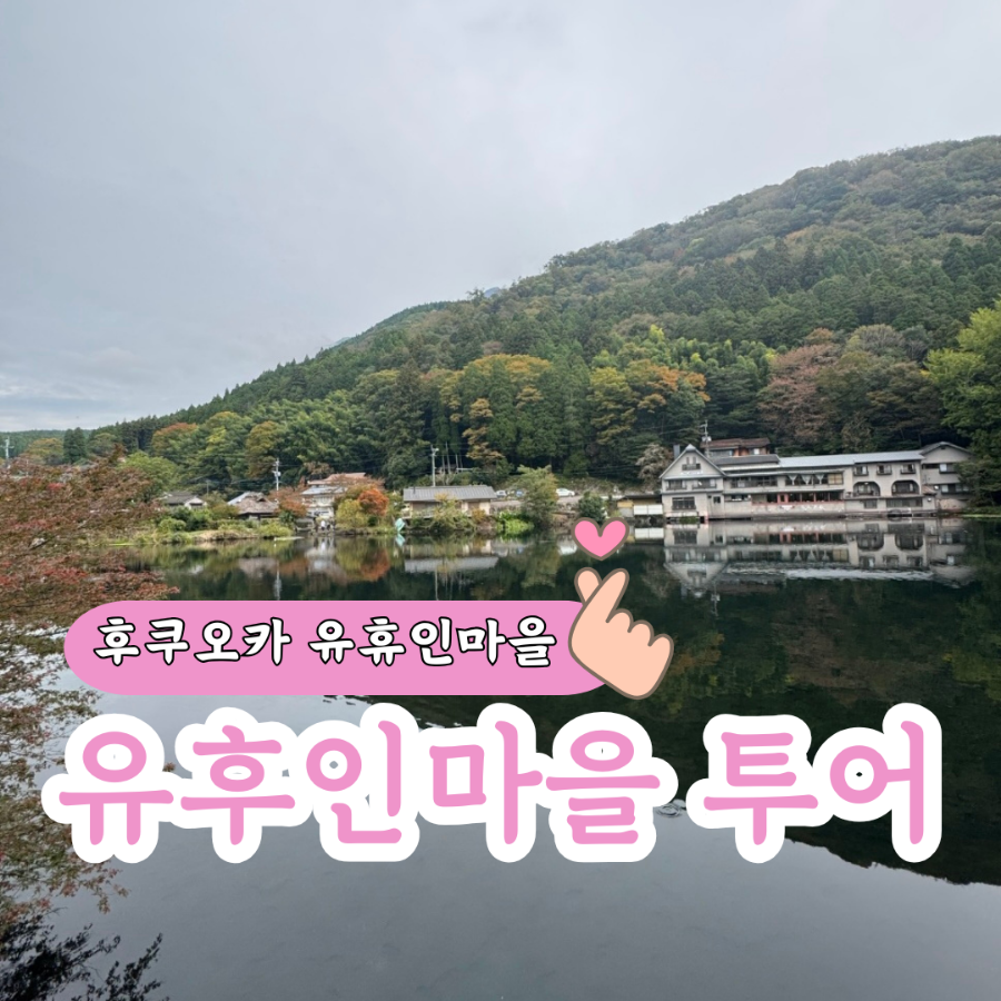 금상투어 이미지