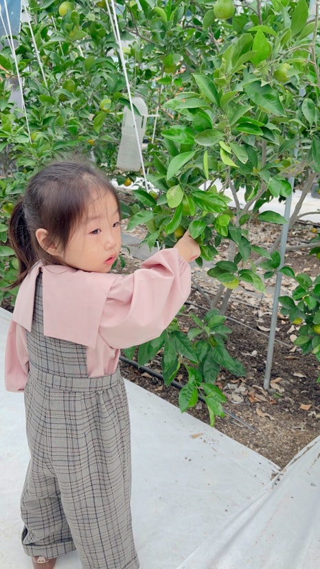 별;그린 이미지