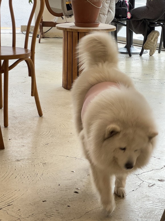 투오브 이미지