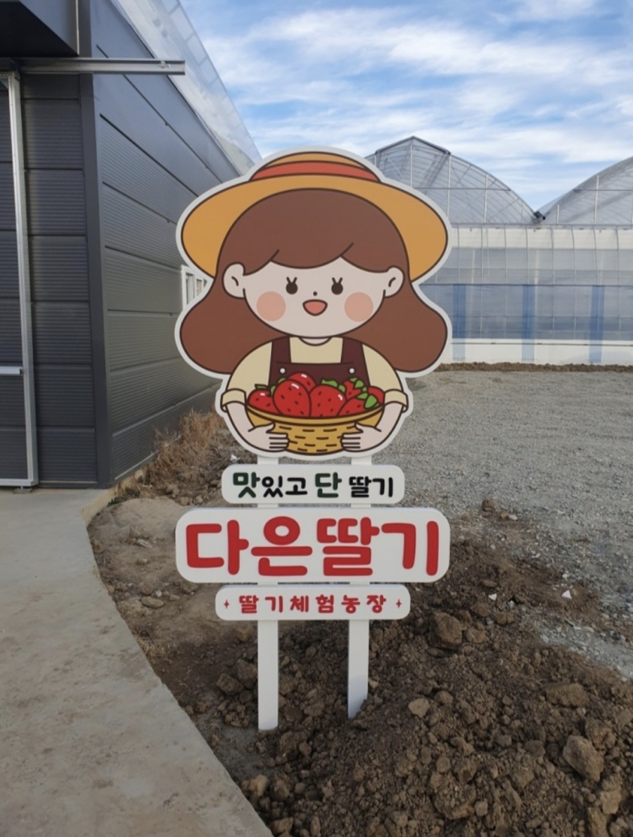 다은딸기 이미지
