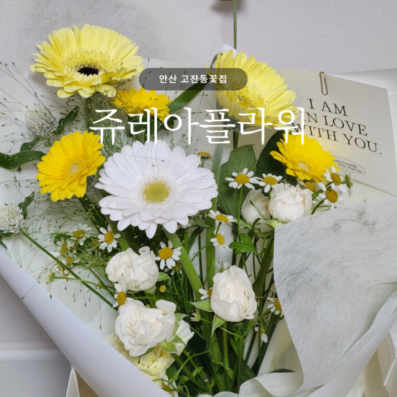 쥬레아플라워 이미지