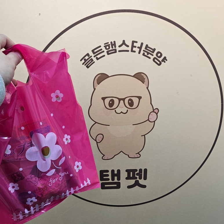 강남토끼 이미지