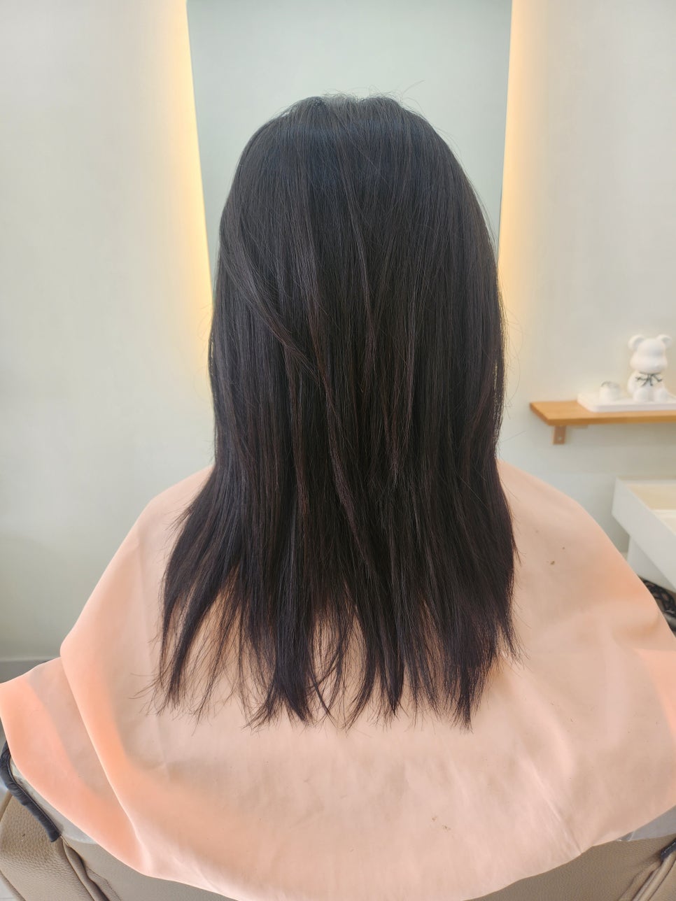미장원류 이미지
