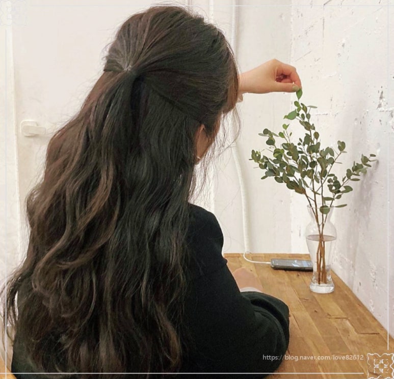 헤어나온 이미지