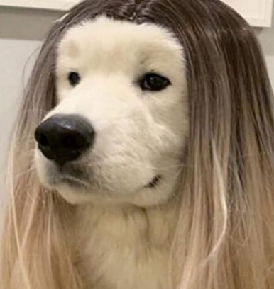뭉치 이미지