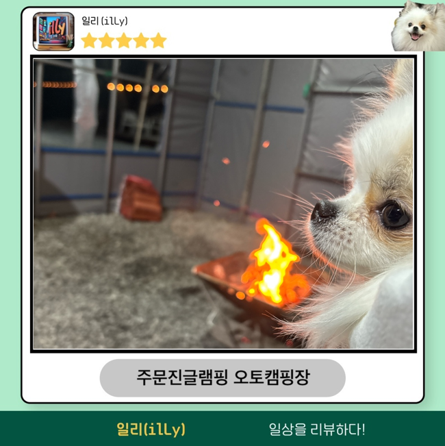 주문진글램핑오토캠핑장 이미지