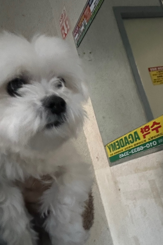 메가커피금곡 이미지