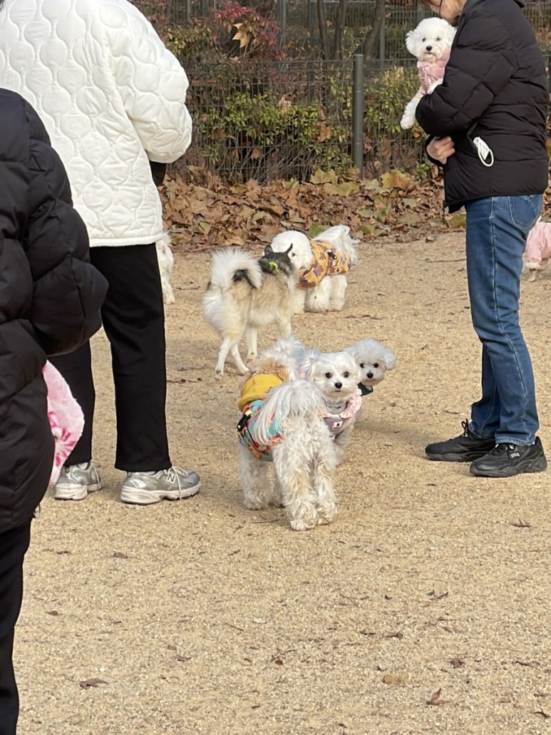 써브웨이 고양탄현점 이미지