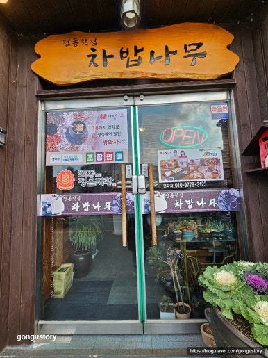 차밥나무 이미지