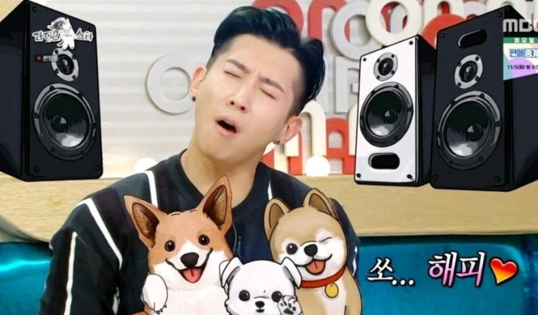 로즈헤어 이미지