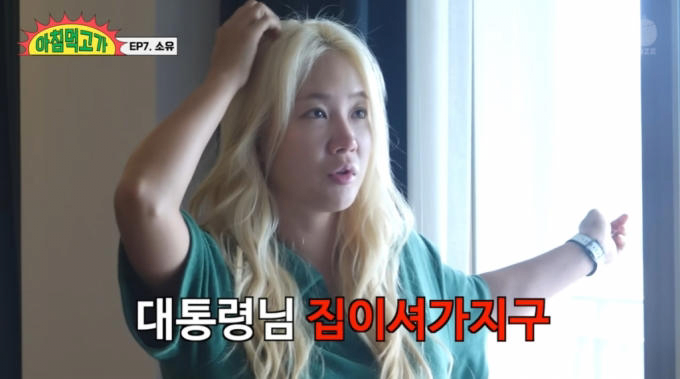 소유집 이미지
