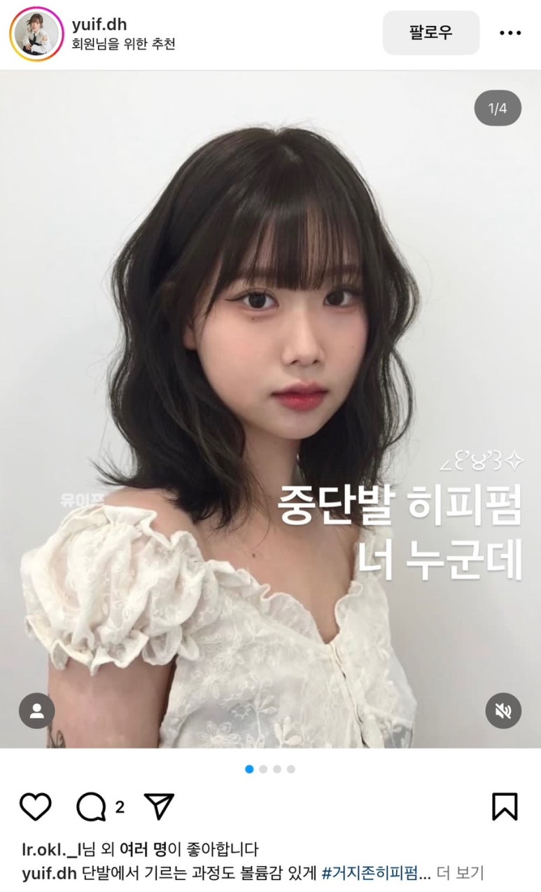 헤이미헤어 이미지