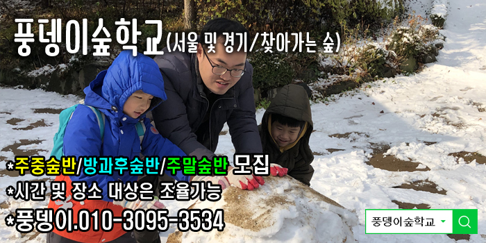 눈숲 이미지