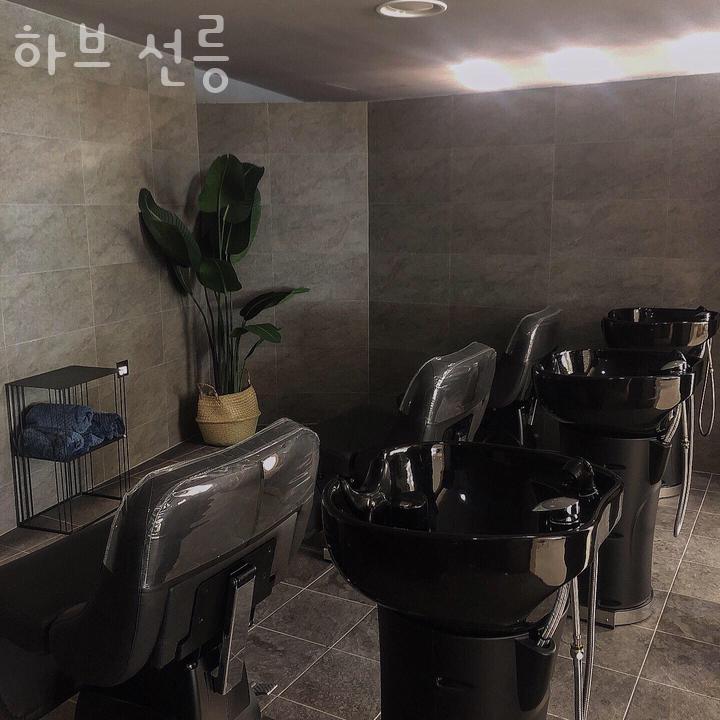 하브 선릉 이미지