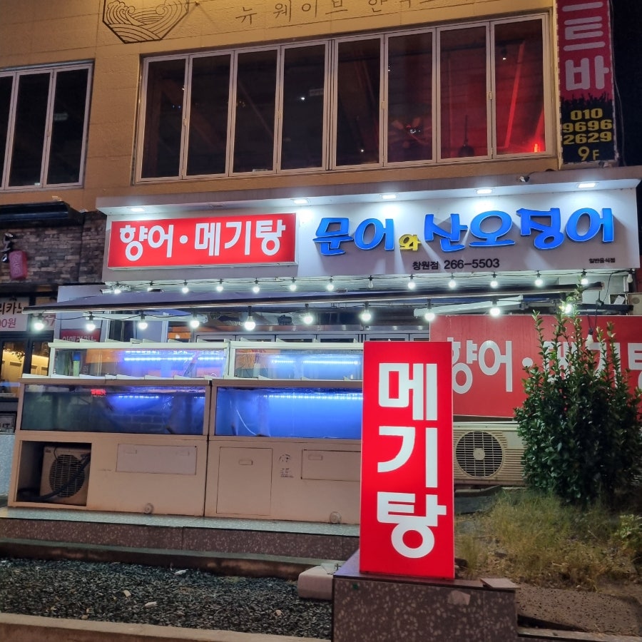 문어와산오징어 이미지