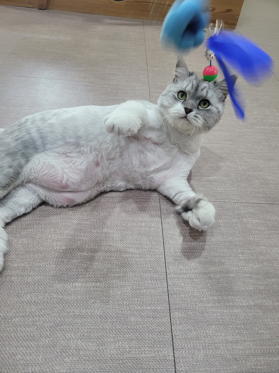 호텔미 이미지