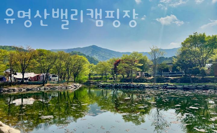 유명산밸리캠핑장 이미지