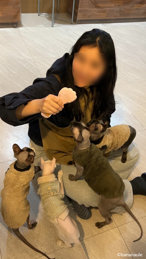 순복이네 이미지