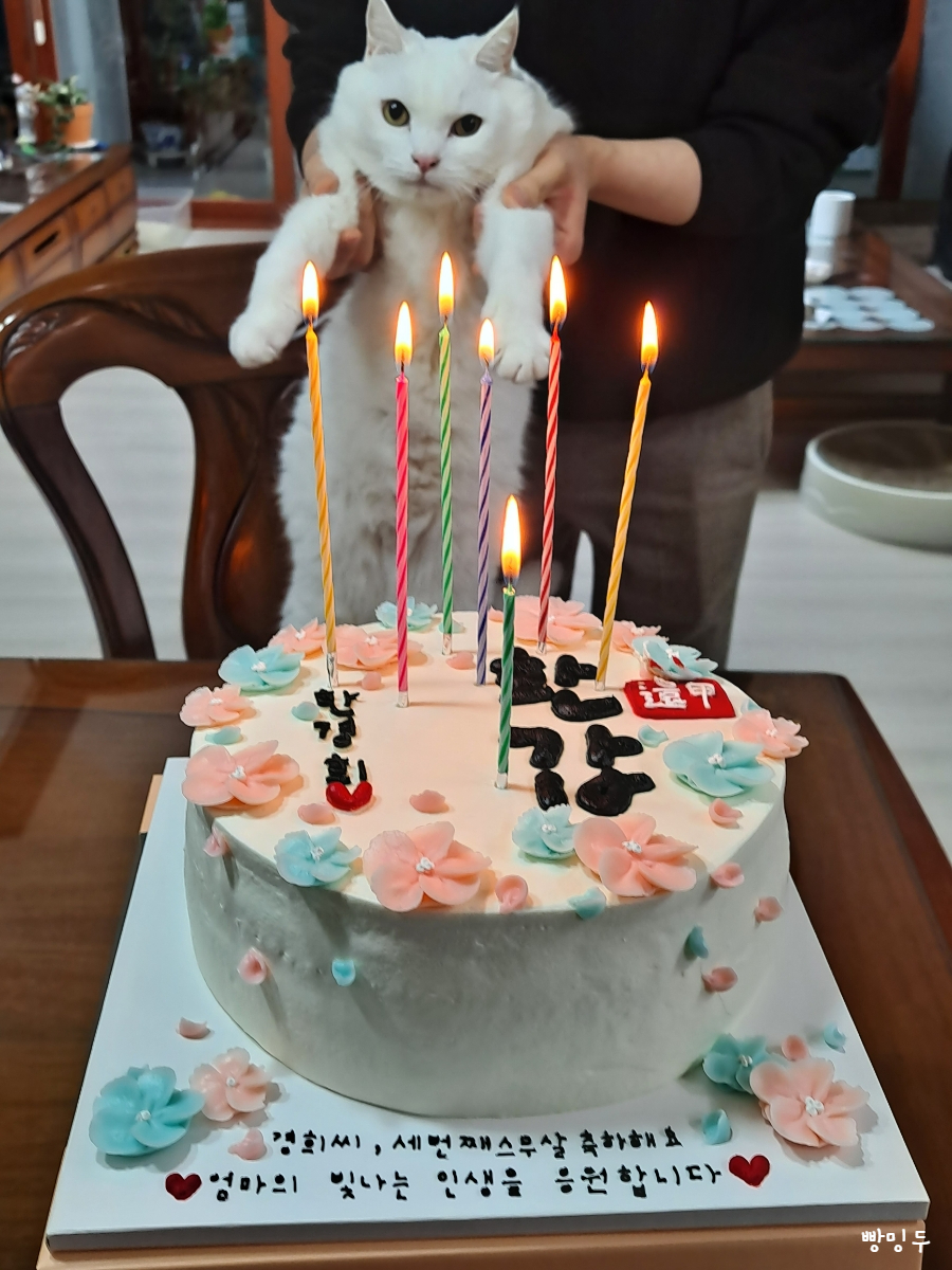 달쏭쿠키제작소 이미지