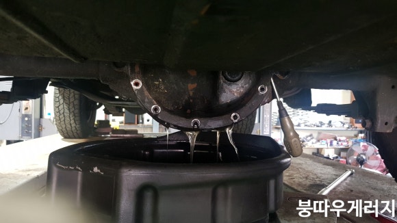 붕따우게러지 이미지