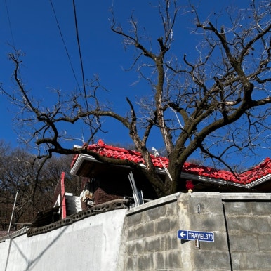 트래블373 이미지