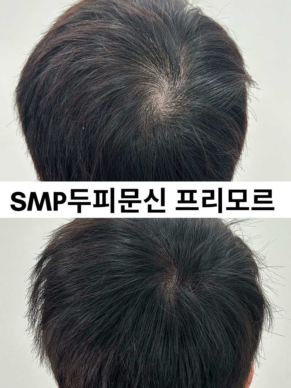 프리모르 이미지