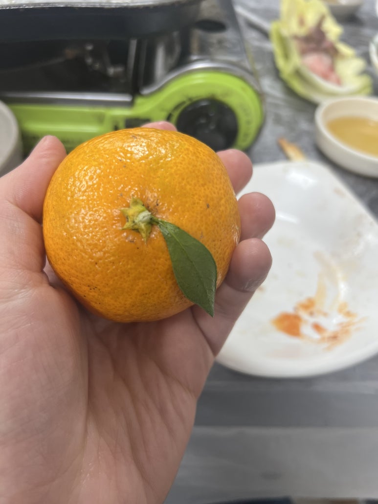 대우 정육점 이미지