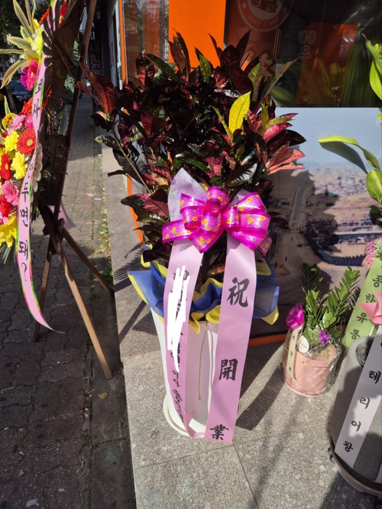 꼬시랑 이미지