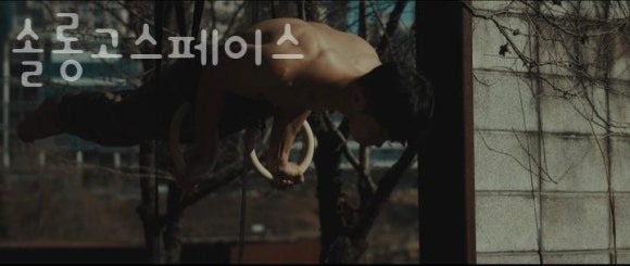 솔롱고스 이미지
