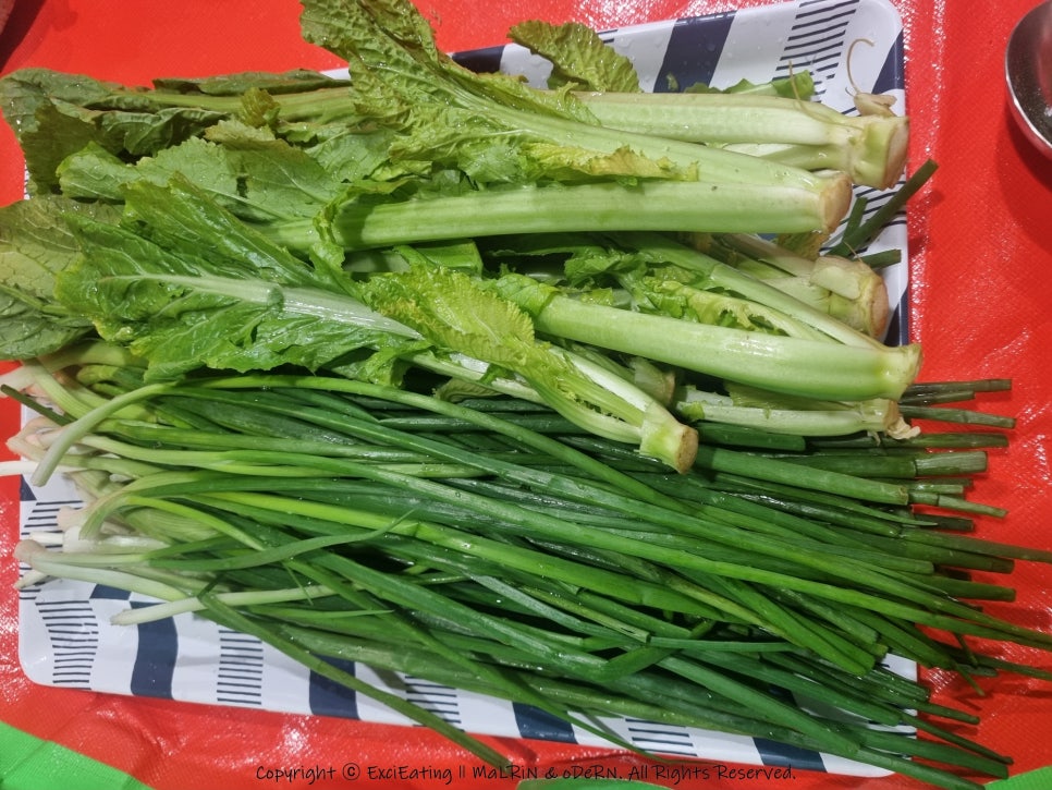 밀담푸릇화성 이미지
