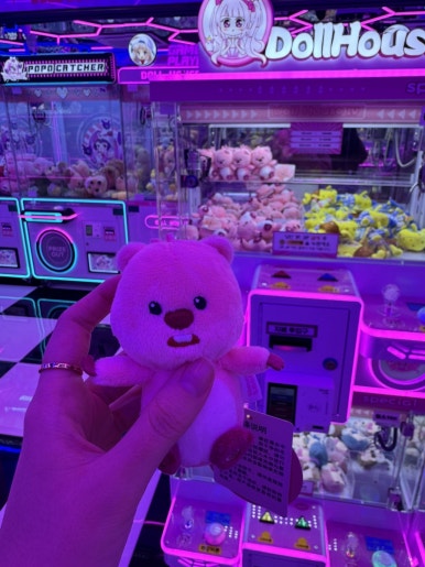 카페이즈 이미지