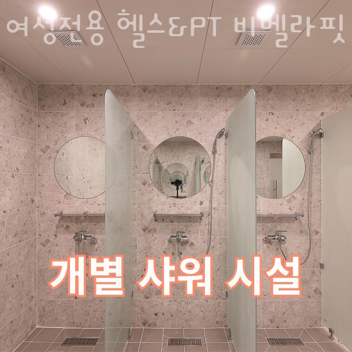 비벨라핏 이미지