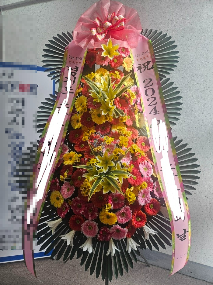 꼬시랑 이미지