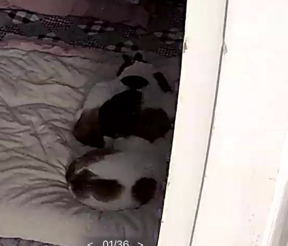 또오옥 이미지