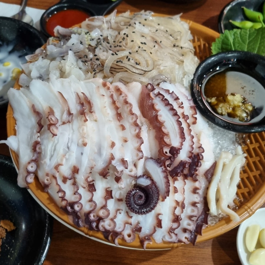 문어와산오징어 이미지