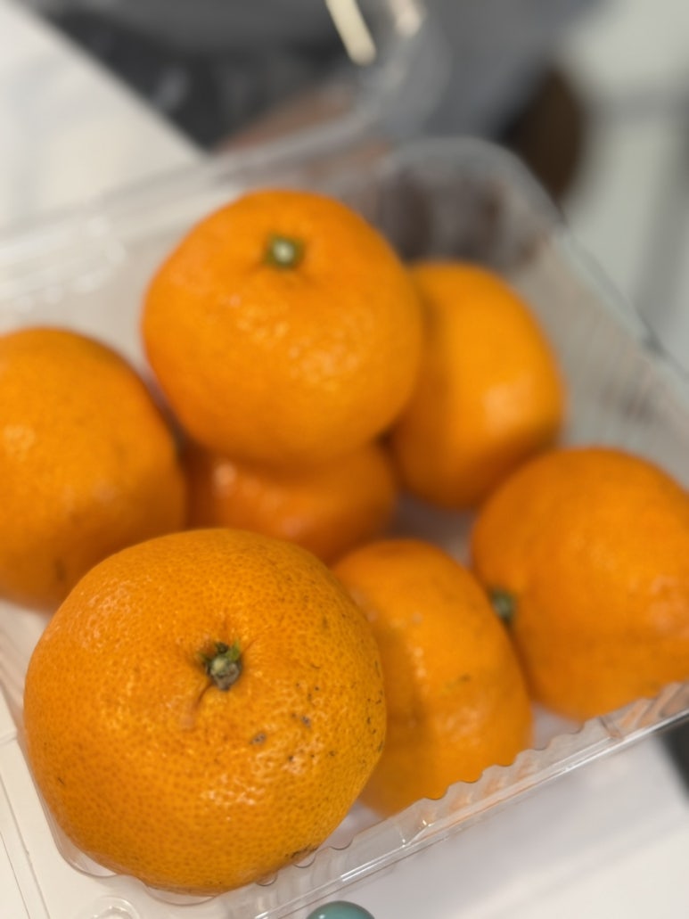 한라청과 이미지
