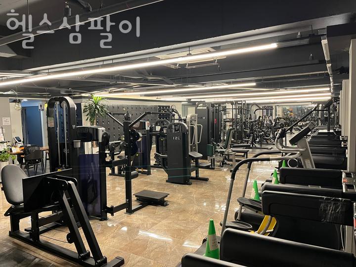 삼팔이 이미지