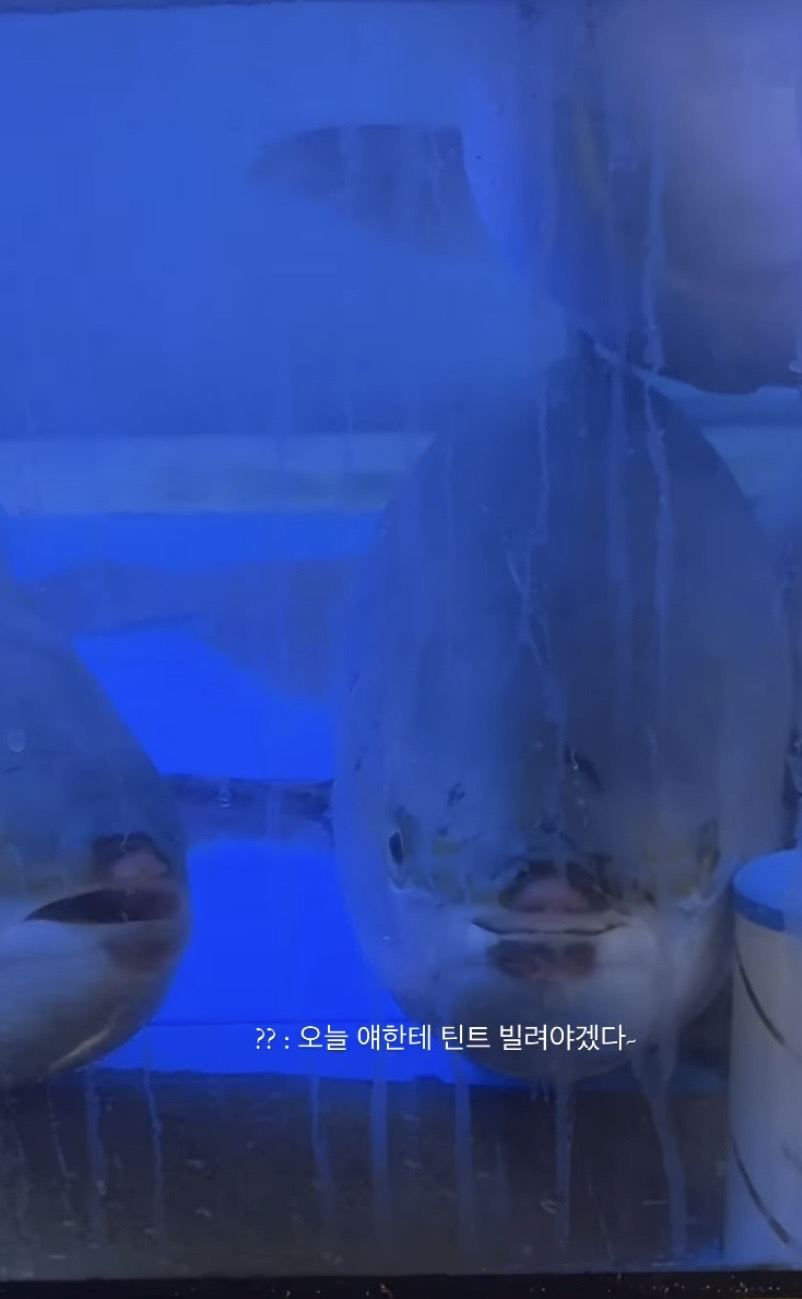 홍길동생선구이 이미지