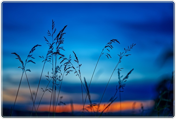 더봄개량한복 이미지