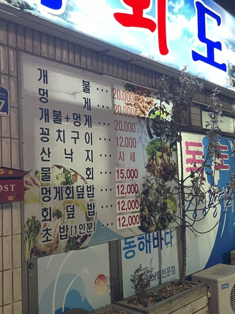 독도회 이미지