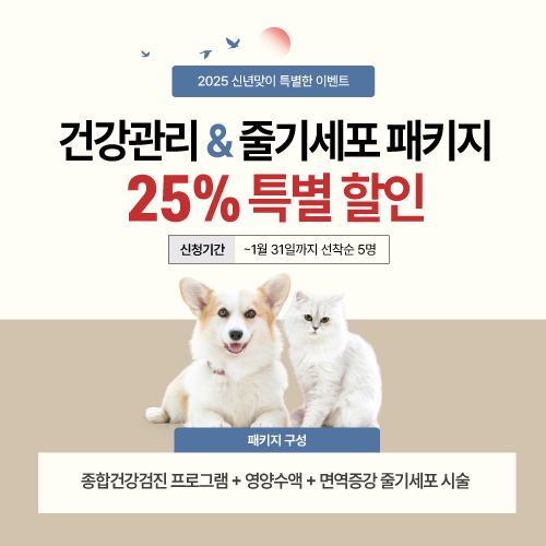 애니컴서비스 이미지