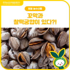 🩶꼬막🩶과 찰떡궁합이 있다?! (꼬막 해감 & 삶는 방법) 바로가기